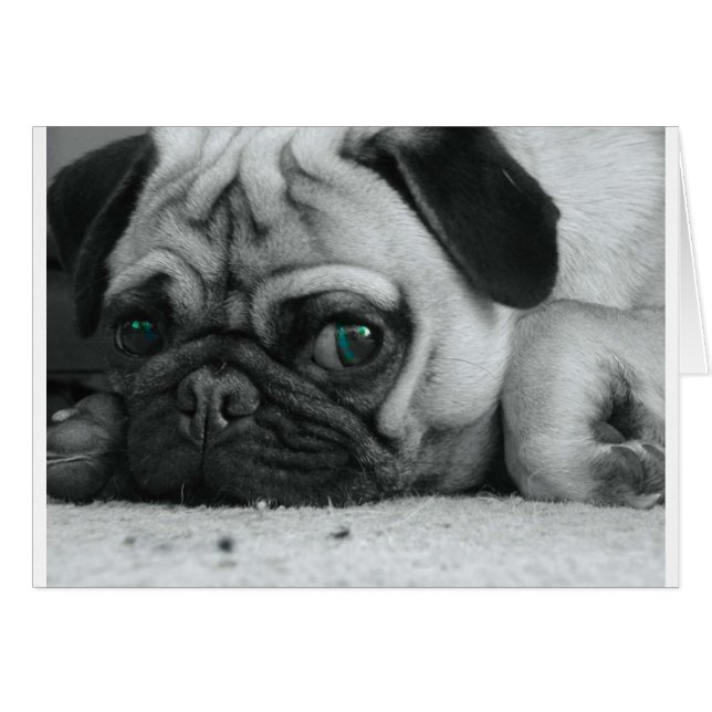 Cartão pic breena (Frente Horizontal)