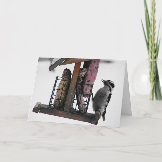 Cartão Pica-pau (Frente)