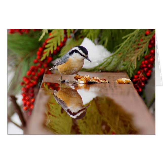 Cartão Pica-pau-cinzento de peito encarnado (Frente horizontal)