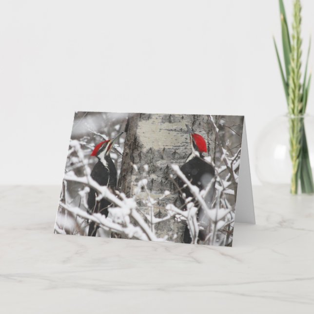 Cartão Pica-Pau No Inverno (Frente)