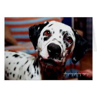 Cartão picada, fotografia gloriosa do dia