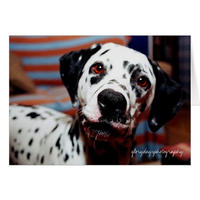 Cartão picada, fotografia gloriosa do dia (Frente Horizontal)