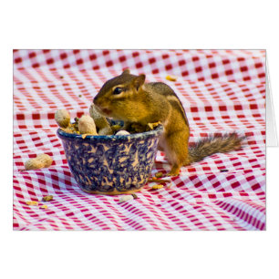 Cartão Picnic do chipset