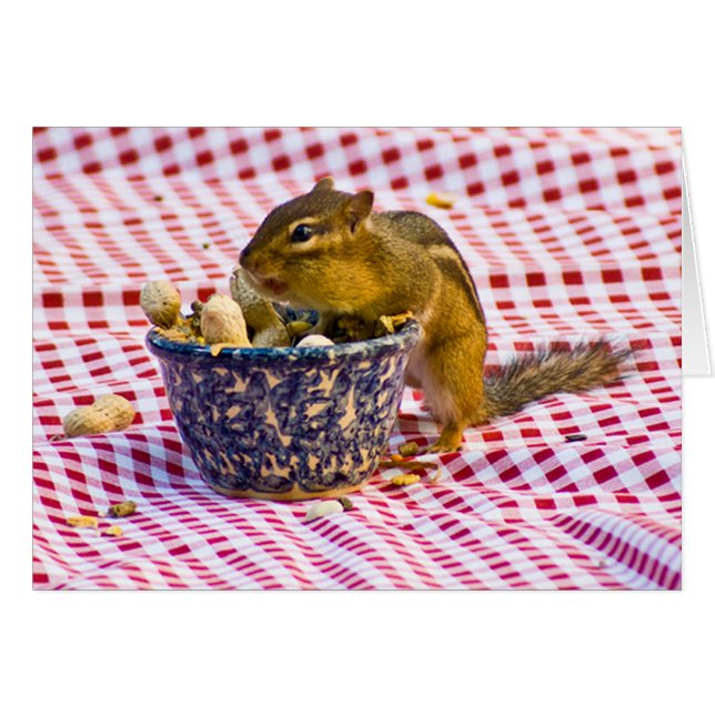 Cartão Picnic do chipset (Frente horizontal)