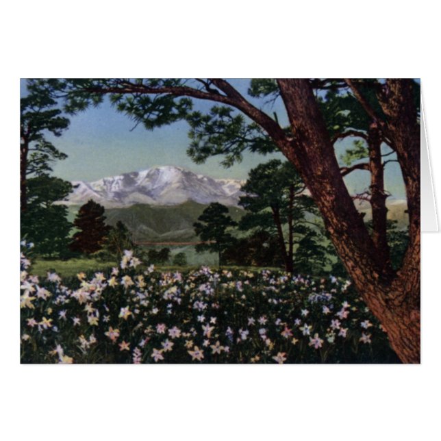 Cartão Pico do Colorado Primaveras Pikes em Primavera (Frente Horizontal)