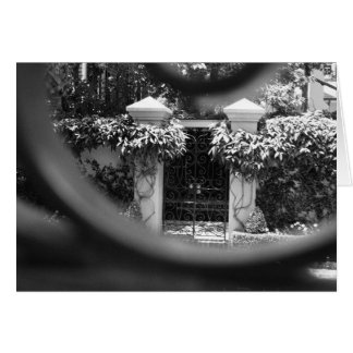 Cartão Pico do Sneak