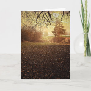 Cartão Picture Perfect Birthday Wishes Card