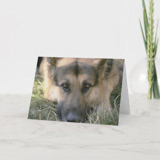 Cartão Picture Perfect Puppy Dog