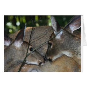 Cartão Piedade & respeito da natureza