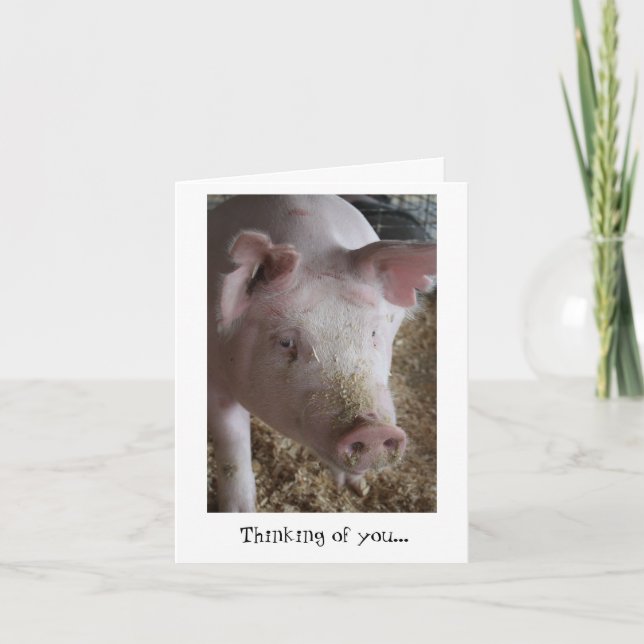 Cartão Pig Thinking of You Card (Frente)