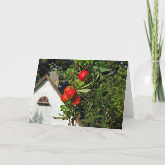 Cartão Pigeon Apples Greeting Cards