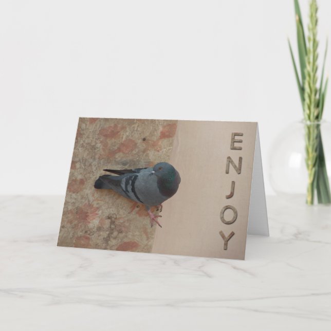 Cartão pigeon celebration card (Frente)