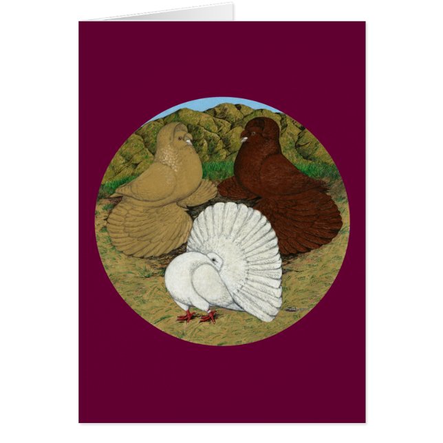 Cartão Pigeon Combo (Frente)