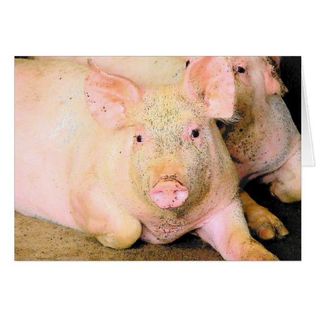 Cartão Piggy (Frente Horizontal)