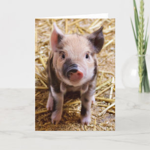 Cartão Piglet