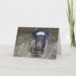 Cartão Piglet in straw