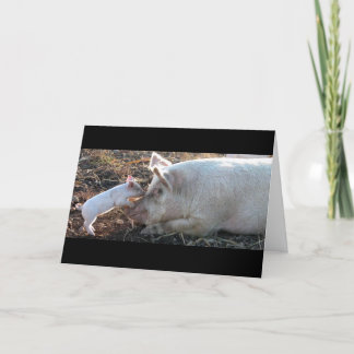 Cartão Piglet Kissing