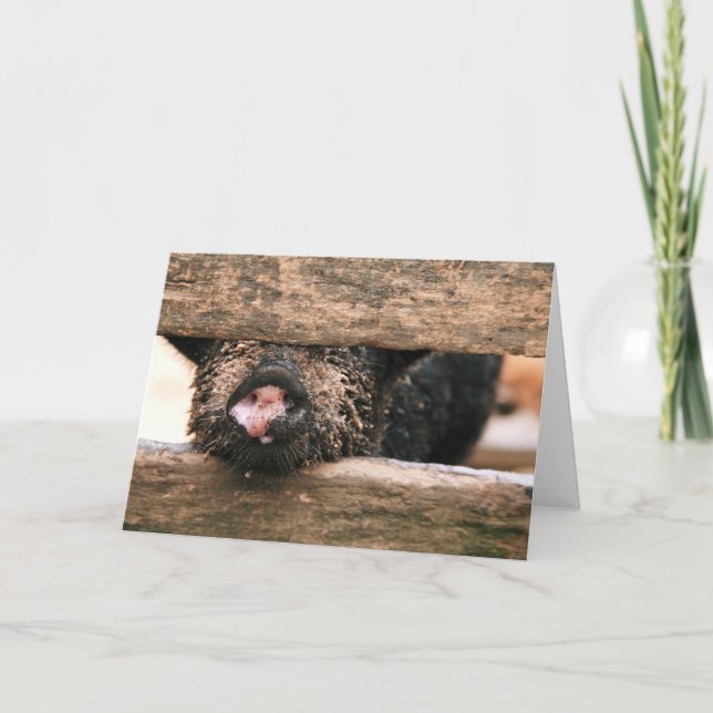 Cartão Piglet Nose Greeting Card - Blank Inside (Frente)