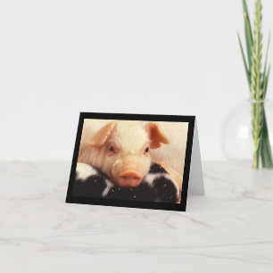 Cartão Piglet Pig Adorable Face Snout