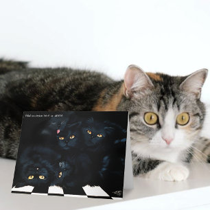 Cartão Pilha de Carinho de Gato Preto Felinos Fofos
