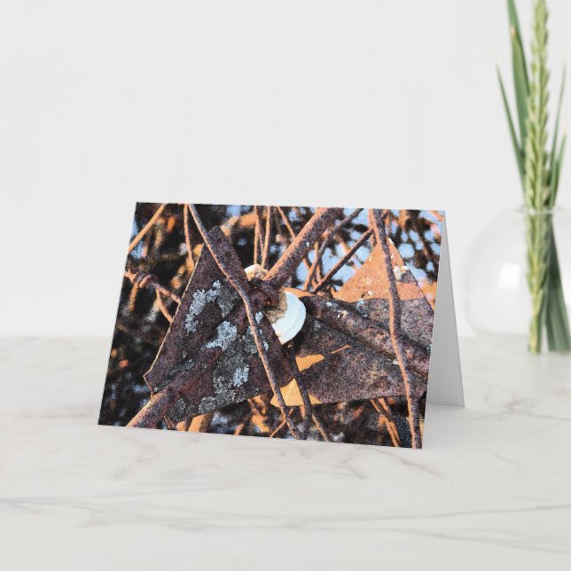 Cartão Pilha de Lixo e Fungos Ainda vivem (Frente)