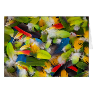 Cartão Pilha de penas coloridas