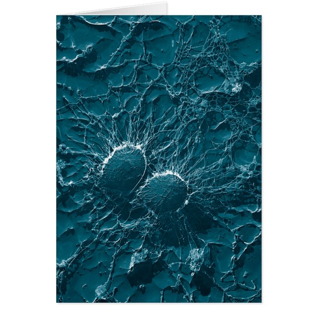 Cartão Pilhas bacterianas do staphylococcus - fim áureo (Frente)