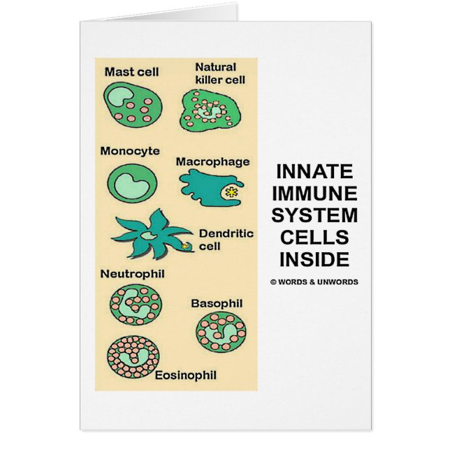 Cartão Pilhas de sistema imunitário inatas para dentro (Frente)