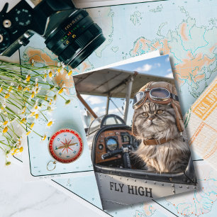 Cartão Piloto Gato & Avião, Aniversário Divertido e Legal