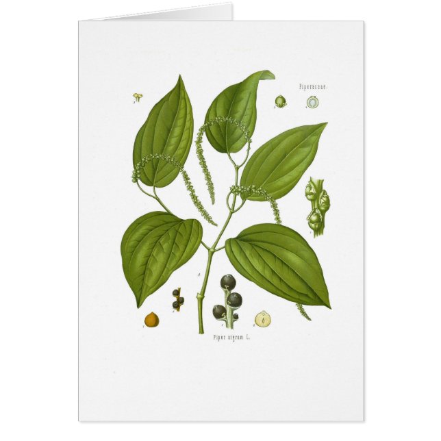 Cartão Pimenta preta (Frente)