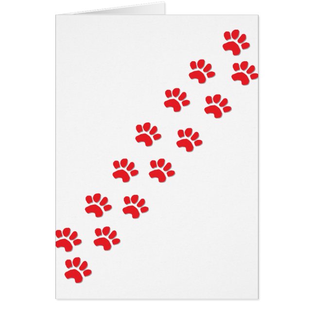 Cartão Pinças de Gato de Gato (Frente)