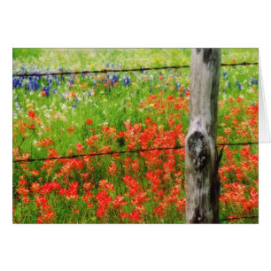 Cartão Pincel de Texas atrás da cerca do arame farpado