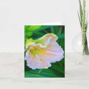 CARTÃO "PINCO SUAVE E DIA AMARELO LILY/SE PARECE COM A CA