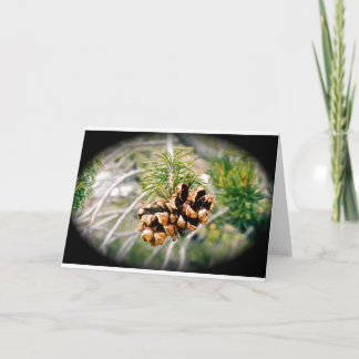 Cartão Pine Cone All-Occasion Greeting Card