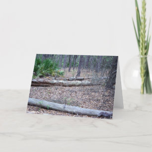 Cartão Pine Forest Note Card