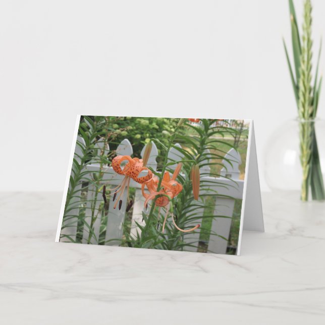 Cartão Pine Lake Lily (Frente)