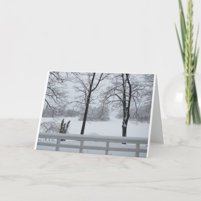 Cartão Pine Lake nº 2 Cove Winter (Frente)