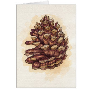 Cartão Pinecone