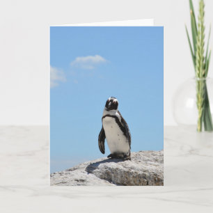 Cartão Pinguim Fofo Solitário e Céu Azul