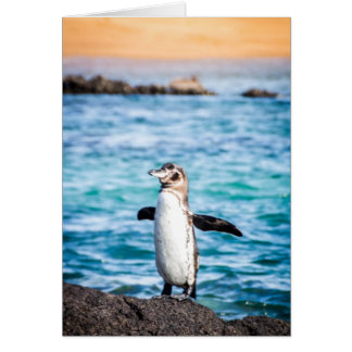 Cartão Pinguim na Ilha Bartolome