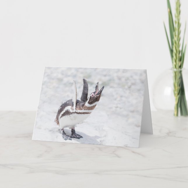 Cartão Pinguim Shouting (Frente)