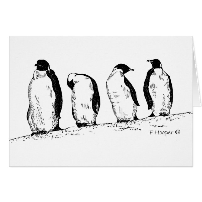 Cartão Pinguins (Frente Horizontal)