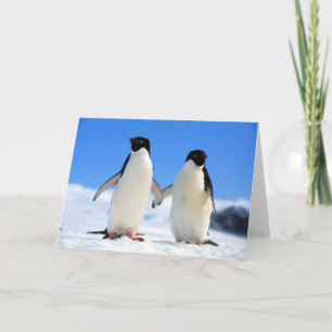 Cartão pinguins dos amantes