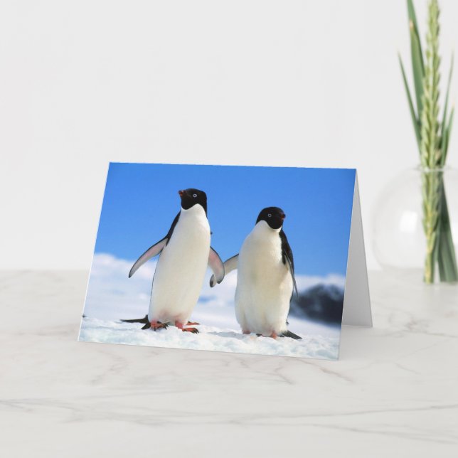 Cartão pinguins dos amantes (Frente)