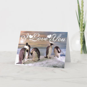 Cartão Pinguins-imperadores Foto Imagem Eu Te Amo