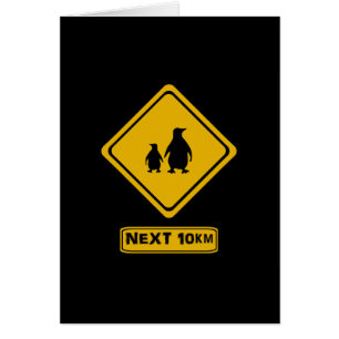 Cartão Pinguins próximos a 10 km