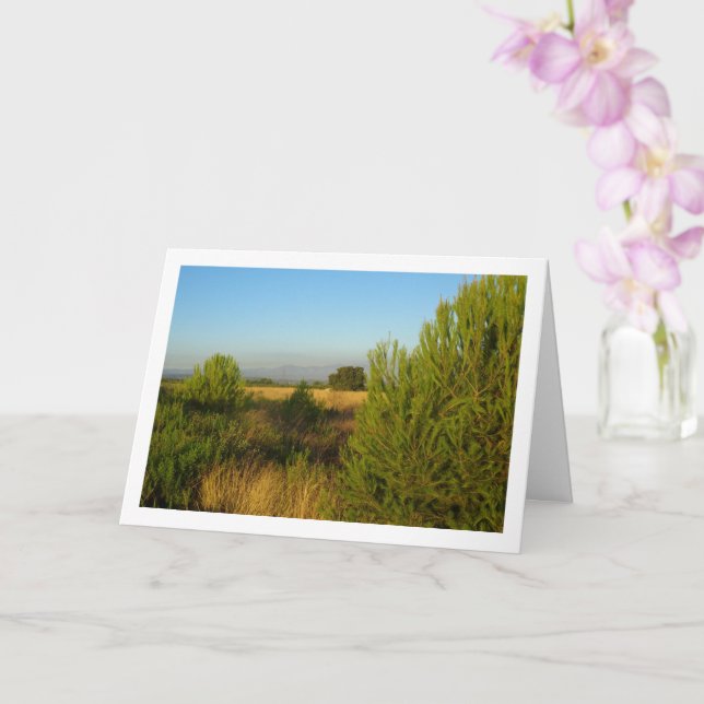 Cartão Pinheiros do País (Orquídea)