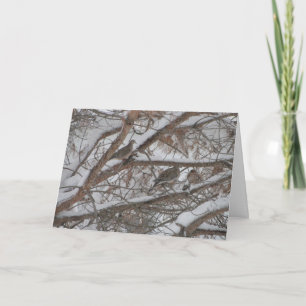 Cartão Pinheiros Neves