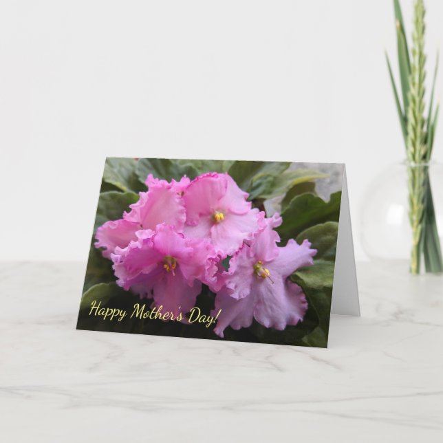 Cartão Pink African Violets Mother's Day Card (Frente)