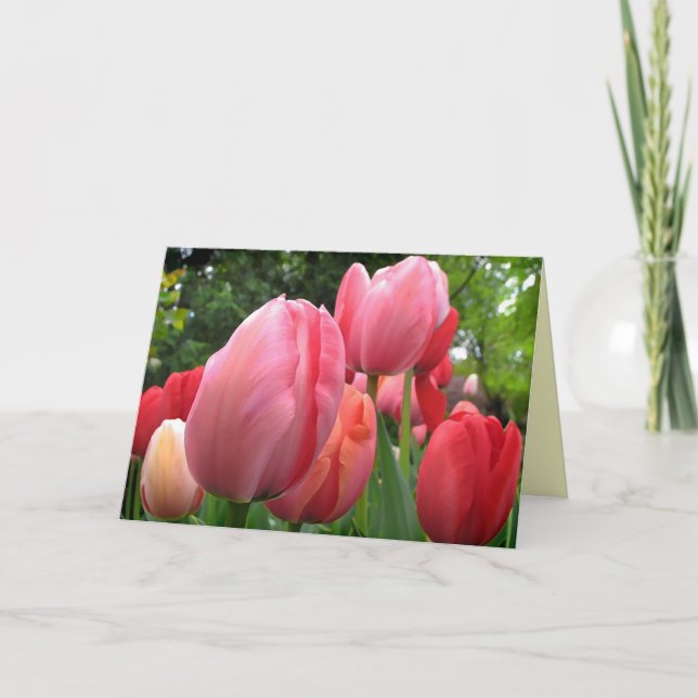 Cartão Pink and Red Spring Tulip Flowers Birthday (Frente)